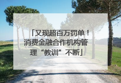 又现超百万罚单！消费金融合作机构管理“教训”不断