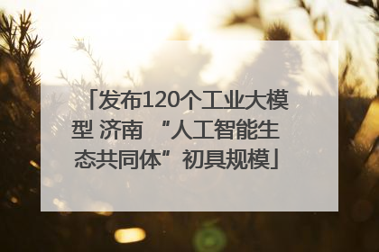 发布120个工业大模型 济南 “人工智能生态共同体”初具规模