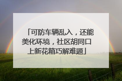 可防车辆乱入，还能美化环境，社区胡同口上新花箱巧解难题