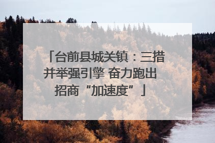 台前县城关镇：三措并举强引擎 奋力跑出招商“加速度”