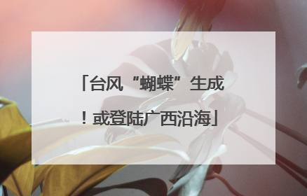 台风“蝴蝶”生成！或登陆广西沿海