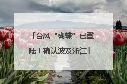 台风“蝴蝶”已登陆！确认波及浙江