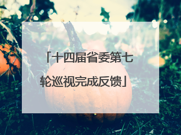 十四届省委第七轮巡视完成反馈