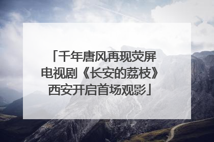 千年唐风再现荧屏 电视剧《长安的荔枝》西安开启首场观影