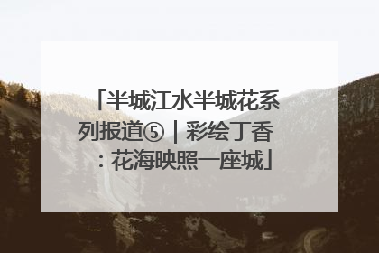 半城江水半城花系列报道⑤｜彩绘丁香：花海映照一座城