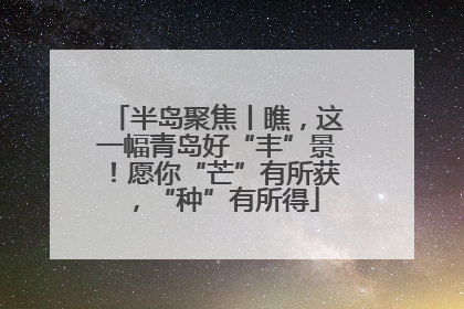 半岛聚焦丨瞧，这一幅青岛好“丰”景！愿你“芒”有所获，“种”有所得
