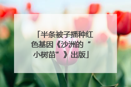 半条被子播种红色基因《沙洲的“小树苗”》出版
