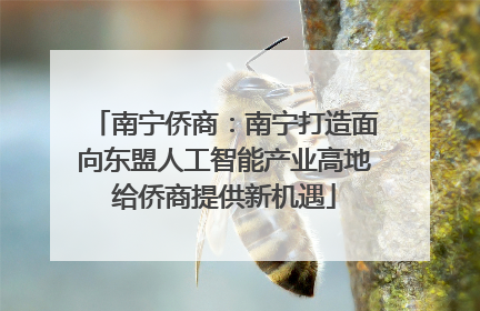 南宁侨商：南宁打造面向东盟人工智能产业高地给侨商提供新机遇