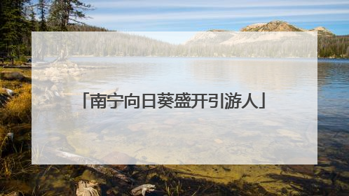 南宁向日葵盛开引游人