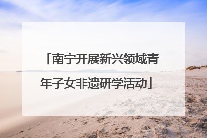南宁开展新兴领域青年子女非遗研学活动