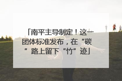 南平主导制定！这一团体标准发布，在“碳”路上留下“竹”迹