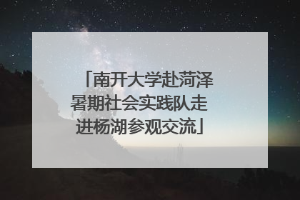 南开大学赴菏泽暑期社会实践队走进杨湖参观交流