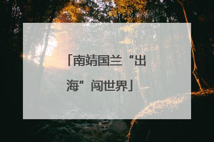 南靖国兰“出海”闯世界