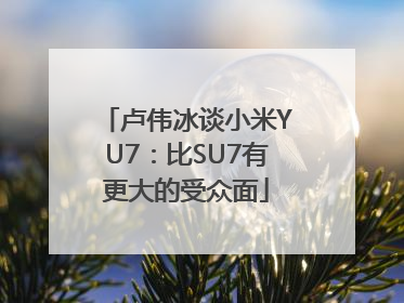卢伟冰谈小米YU7：比SU7有更大的受众面