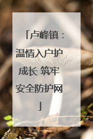 卢峰镇：温情入户护成长 筑牢安全防护网