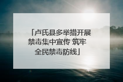 卢氏县多举措开展禁毒集中宣传 筑牢全民禁毒防线