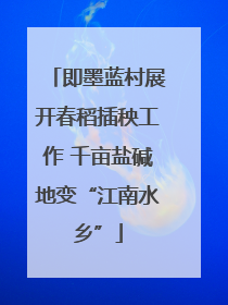 即墨蓝村展开春稻插秧工作 千亩盐碱地变“江南水乡”