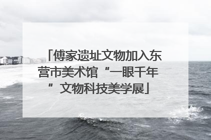 傅家遗址文物加入东营市美术馆“一眼千年”文物科技美学展
