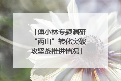 傅小林专题调研“两山”转化突破攻坚战推进情况