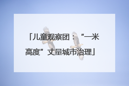 儿童观察团：“一米高度”丈量城市治理