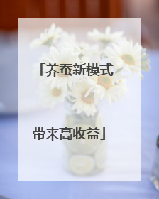 养蚕新模式带来高收益