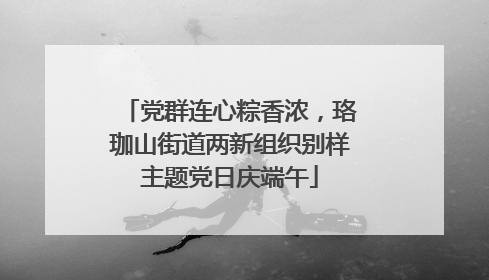 党群连心粽香浓，珞珈山街道两新组织别样主题党日庆端午