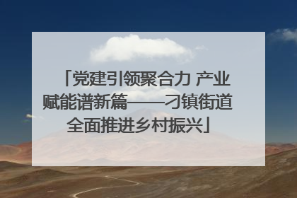 党建引领聚合力 产业赋能谱新篇——刁镇街道全面推进乡村振兴