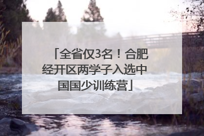 全省仅3名！合肥经开区两学子入选中国国少训练营