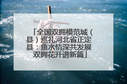 全国双拥模范城（县）巡礼河北省正定县：鱼水情深共发展 双拥花开谱新篇