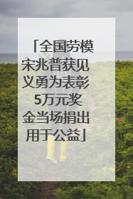 全国劳模宋兆普获见义勇为表彰 5万元奖金当场捐出用于公益