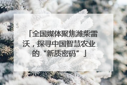 全国媒体聚焦潍柴雷沃，探寻中国智慧农业的“新质密码”