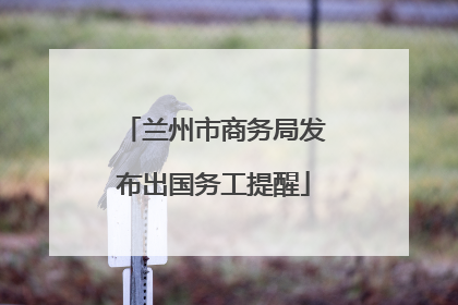 兰州市商务局发布出国务工提醒