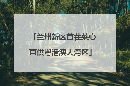 兰州新区首茬菜心直供粤港澳大湾区