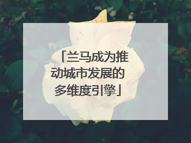兰马成为推动城市发展的多维度引擎
