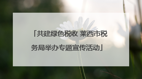 共建绿色税收 莱西市税务局举办专题宣传活动