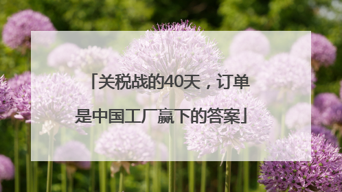 关税战的40天，订单是中国工厂赢下的答案