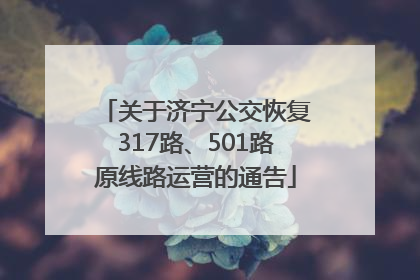 关于济宁公交恢复317路、501路原线路运营的通告