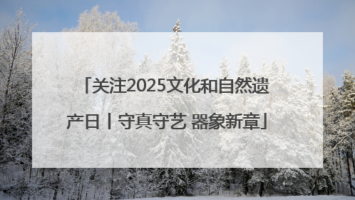 关注2025文化和自然遗产日丨守真守艺 器象新章
