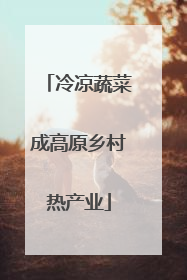 冷凉蔬菜成高原乡村热产业