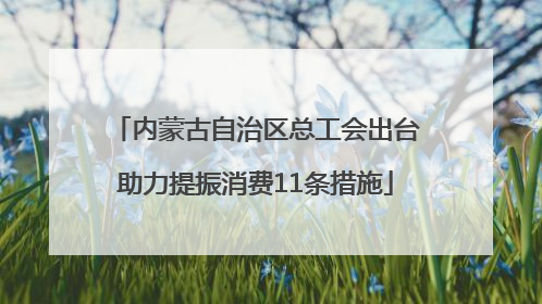 内蒙古自治区总工会出台助力提振消费11条措施