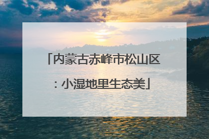 内蒙古赤峰市松山区：小湿地里生态美