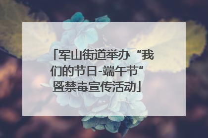 军山街道举办“我们的节日-端午节”暨禁毒宣传活动