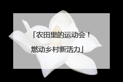农田里的运动会！燃动乡村新活力
