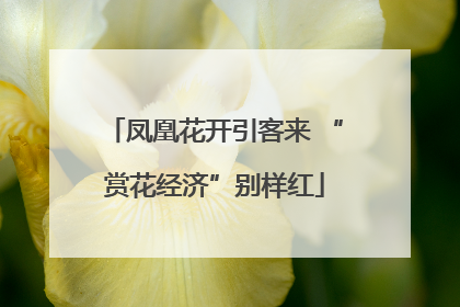 凤凰花开引客来 “赏花经济”别样红