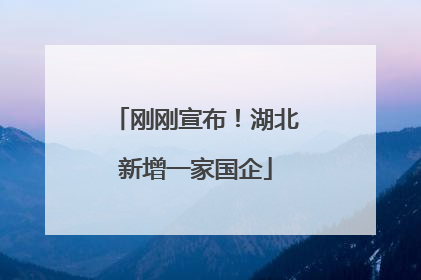 刚刚宣布！湖北新增一家国企