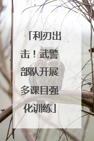 利刃出击！武警部队开展多课目强化训练