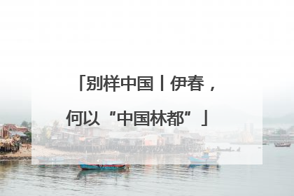 别样中国丨伊春，何以“中国林都”