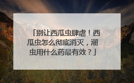 别让西瓜虫肆虐！西瓜虫怎么彻底消灭，潮虫用什么药最有效？