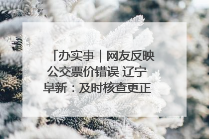 办实事｜网友反映公交票价错误 辽宁阜新：及时核查更正 加强实时巡检