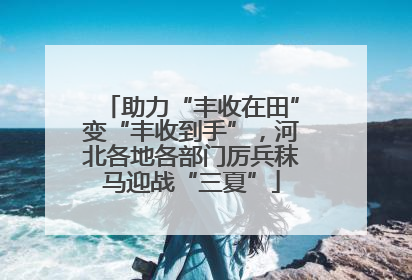 助力“丰收在田”变“丰收到手”，河北各地各部门厉兵秣马迎战“三夏”